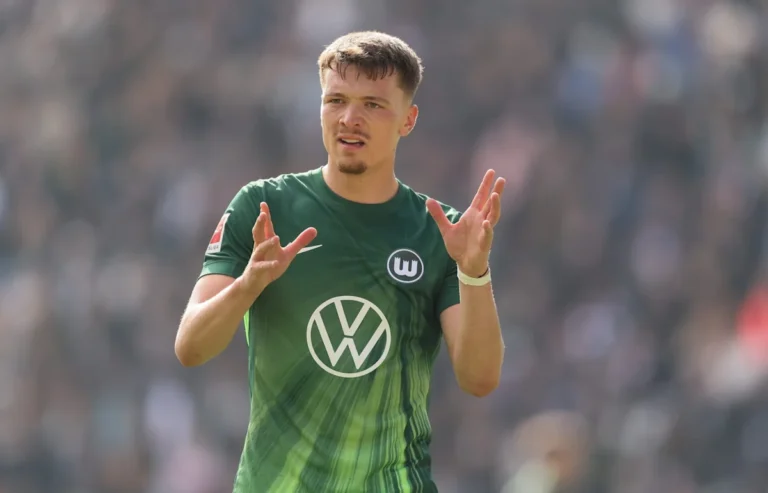 VfB Stuttgart Finalizes Dzenan Pejcinovic Transfer with Wolfsburg