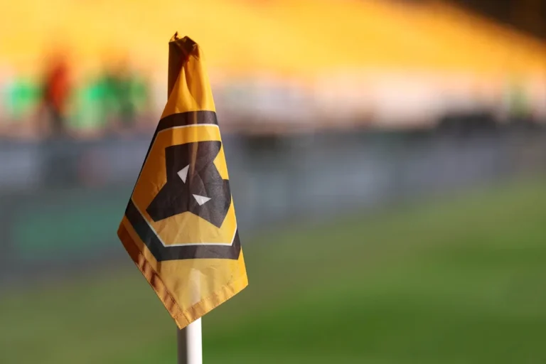 Wolves Decide Against Playing Controversial Song Before Games